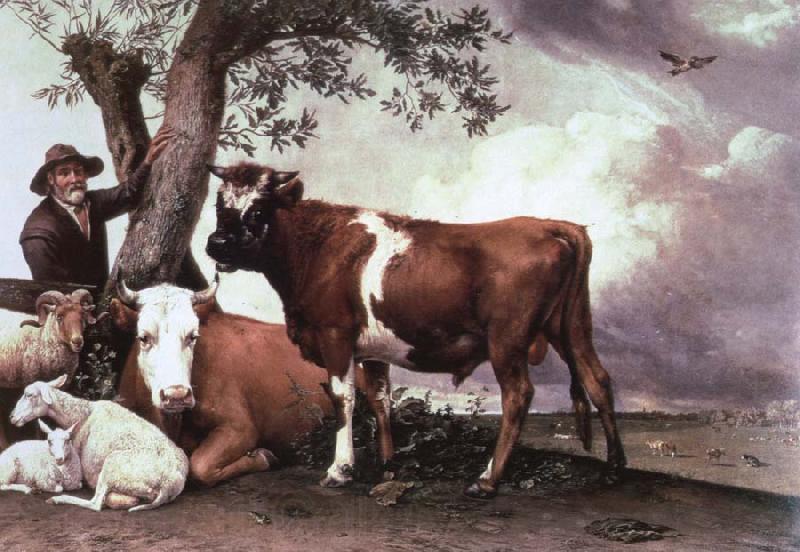 POTTER, Paulus the bull Norge oil painting art